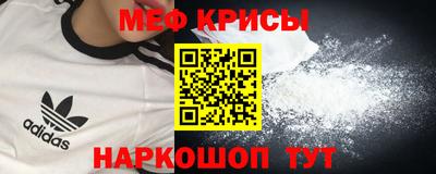 тгк Кингисепп