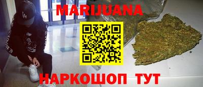 тгк Кингисепп