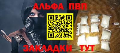 тгк Кингисепп