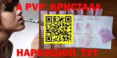 тгк Кингисепп
