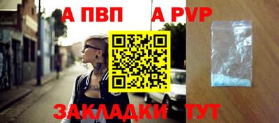 тгк Кингисепп