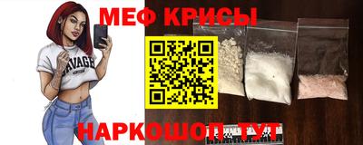 тгк Кингисепп