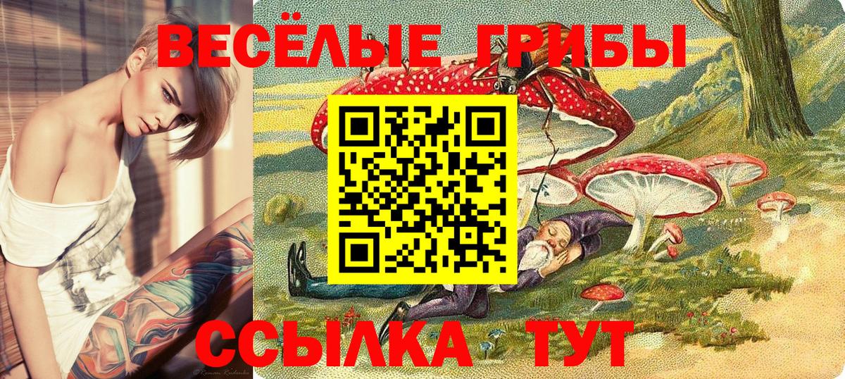 Урай  Галлюциногенные грибы GOLDEN TEACHER  Вход с VPN 