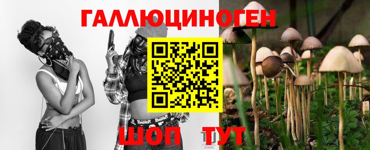 Псилоцибиновые грибы мухоморы Урай